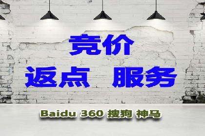 行业专家眼中的SEM竞价培训：成功要素与挑战